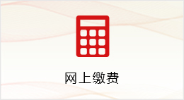 网上缴费