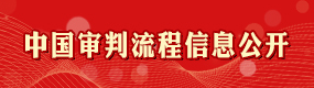 中国审判流程信息公开