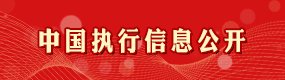 中国执行信息公开