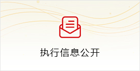 执行信息公开
